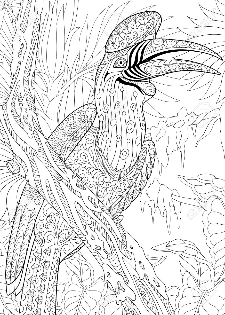 Rhinoceros Hornbill coloring #9, Download drawings