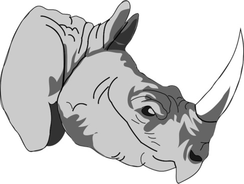 Rhinoceros Hornbill svg #17, Download drawings