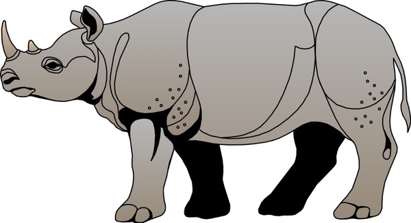 Rhinoceros Hornbill svg #16, Download drawings