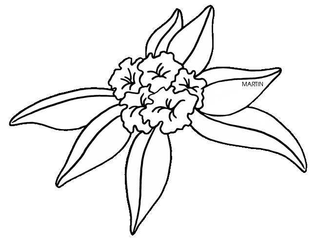 Rhododendrun clipart #18, Download drawings