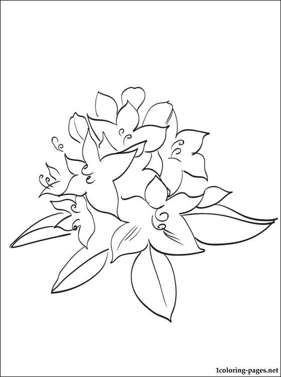 Rhododendron coloring #7, Download drawings