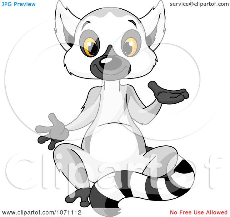Ring-tailed Lemur clipart #5, Download drawings