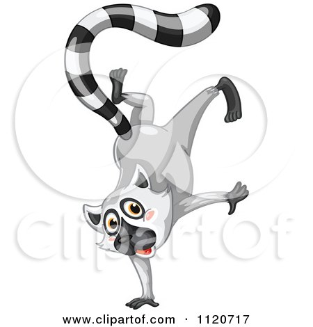 Ring-tailed Lemur clipart #8, Download drawings