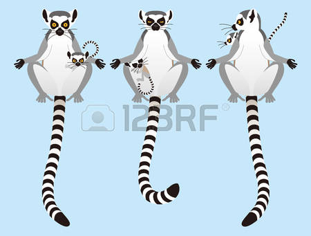 Ring-tailed Lemur clipart #4, Download drawings