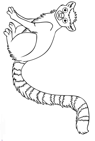 Ring-tailed Lemur coloring #19, Download drawings