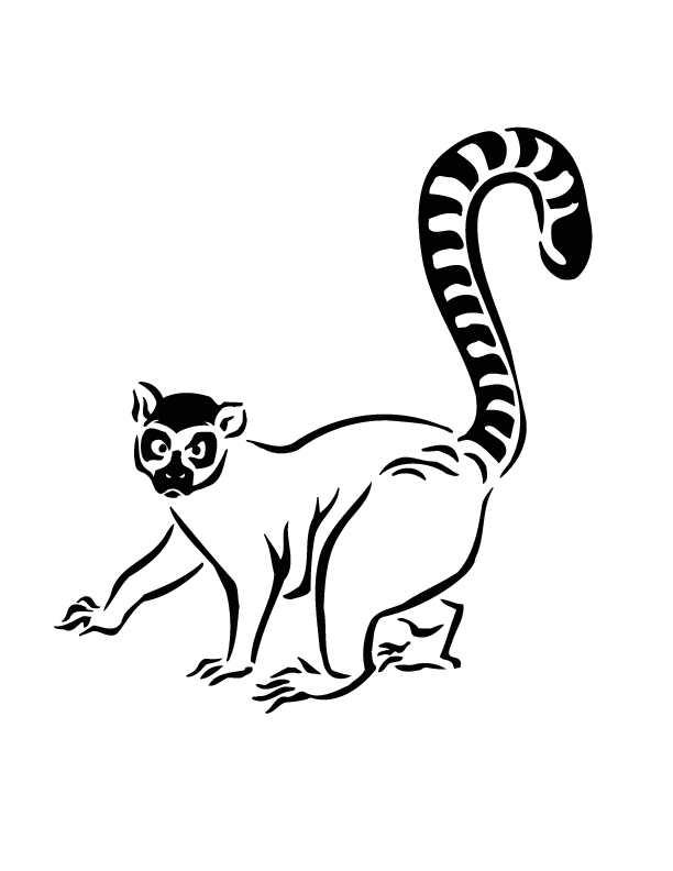 Ring-tailed Lemur coloring #17, Download drawings