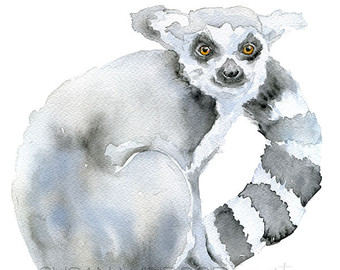 Ring-tailed Lemur svg #3, Download drawings