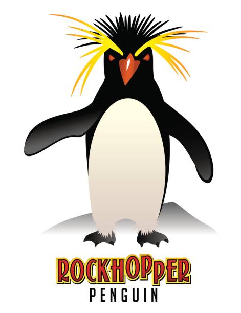 Rockhopper Penguin clipart #19, Download drawings