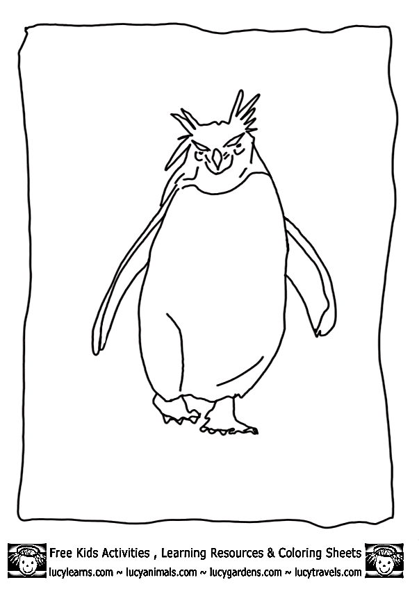 Rockhopper Penguin coloring #17, Download drawings