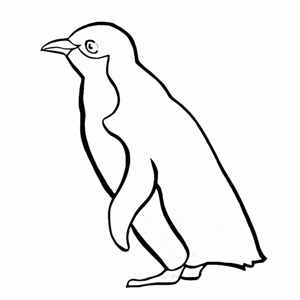 Rockhopper Penguin coloring #10, Download drawings