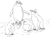 Rockhopper Penguin coloring #2, Download drawings
