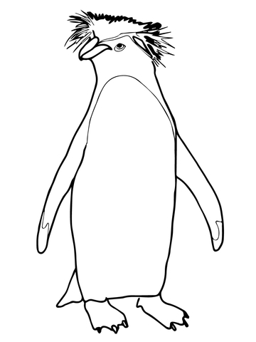 Rockhopper Penguin coloring #16, Download drawings