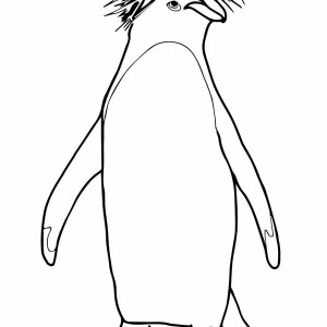 Rockhopper Penguin coloring #19, Download drawings