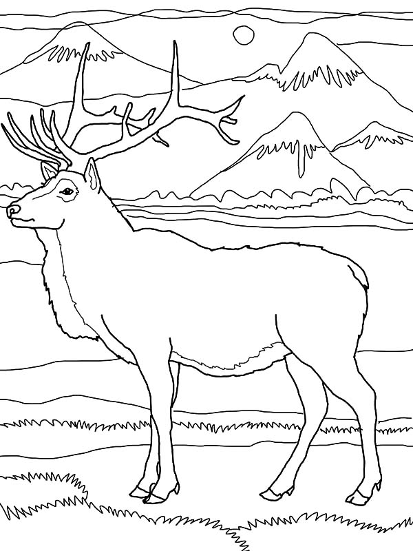 Rocky Mountains coloring #2, Download drawings