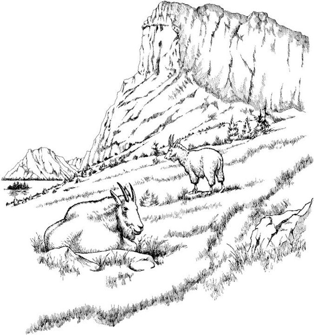 Rocky Mountains coloring #8, Download drawings