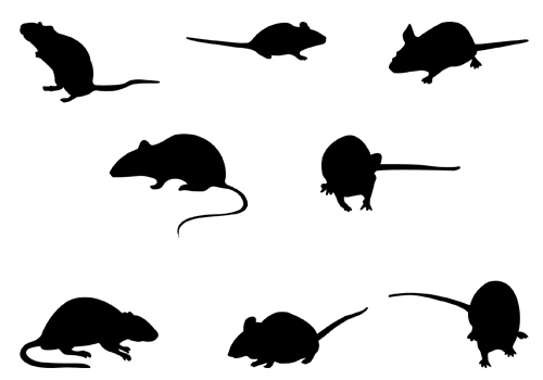 Rodent clipart #15, Download drawings