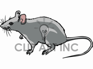 Rodent clipart #1, Download drawings