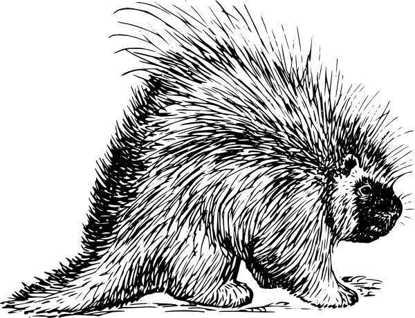 Rodent svg #10, Download drawings