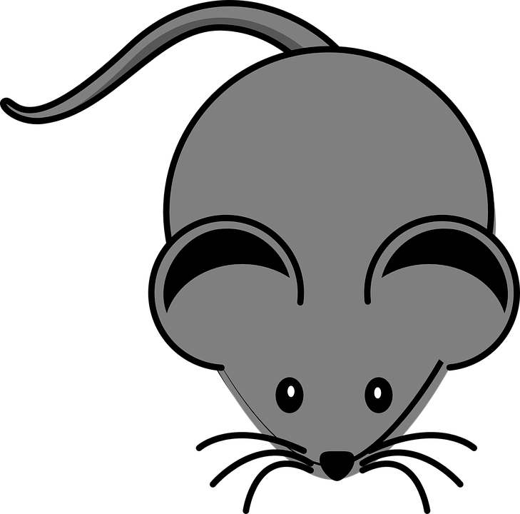 Rodent svg #13, Download drawings