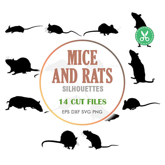 Rodent svg #11, Download drawings