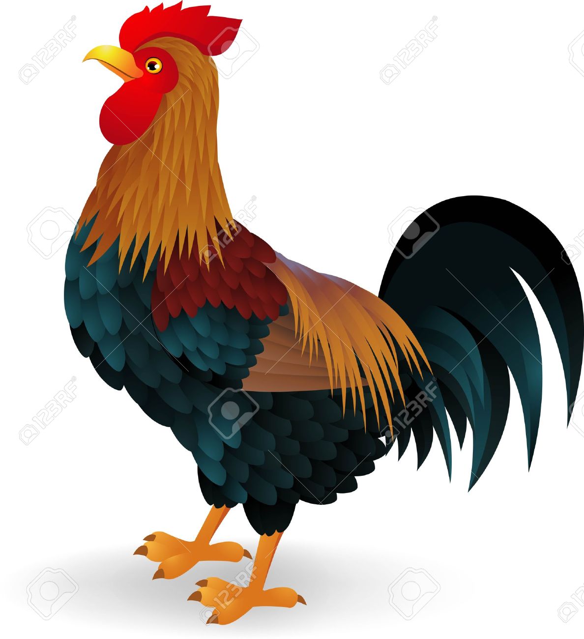 Rooster clipart #1, Download drawings