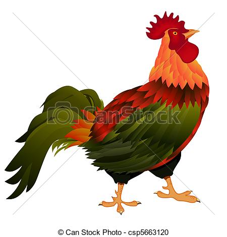 Rooster clipart #13, Download drawings