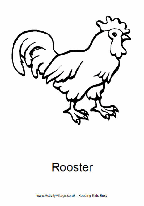Rooster coloring #11, Download drawings
