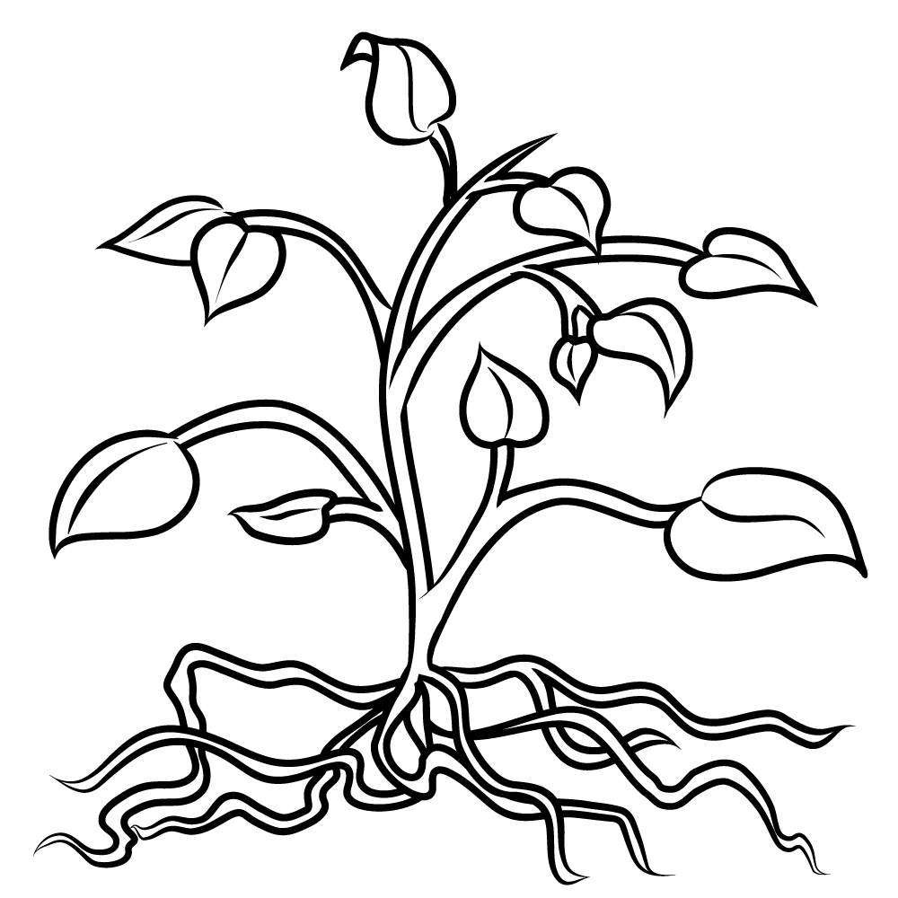 Roots clipart #19, Download drawings