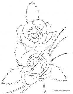 Rosaceae coloring #2, Download drawings
