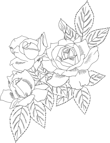 Rose Bush coloring #17, Download drawings