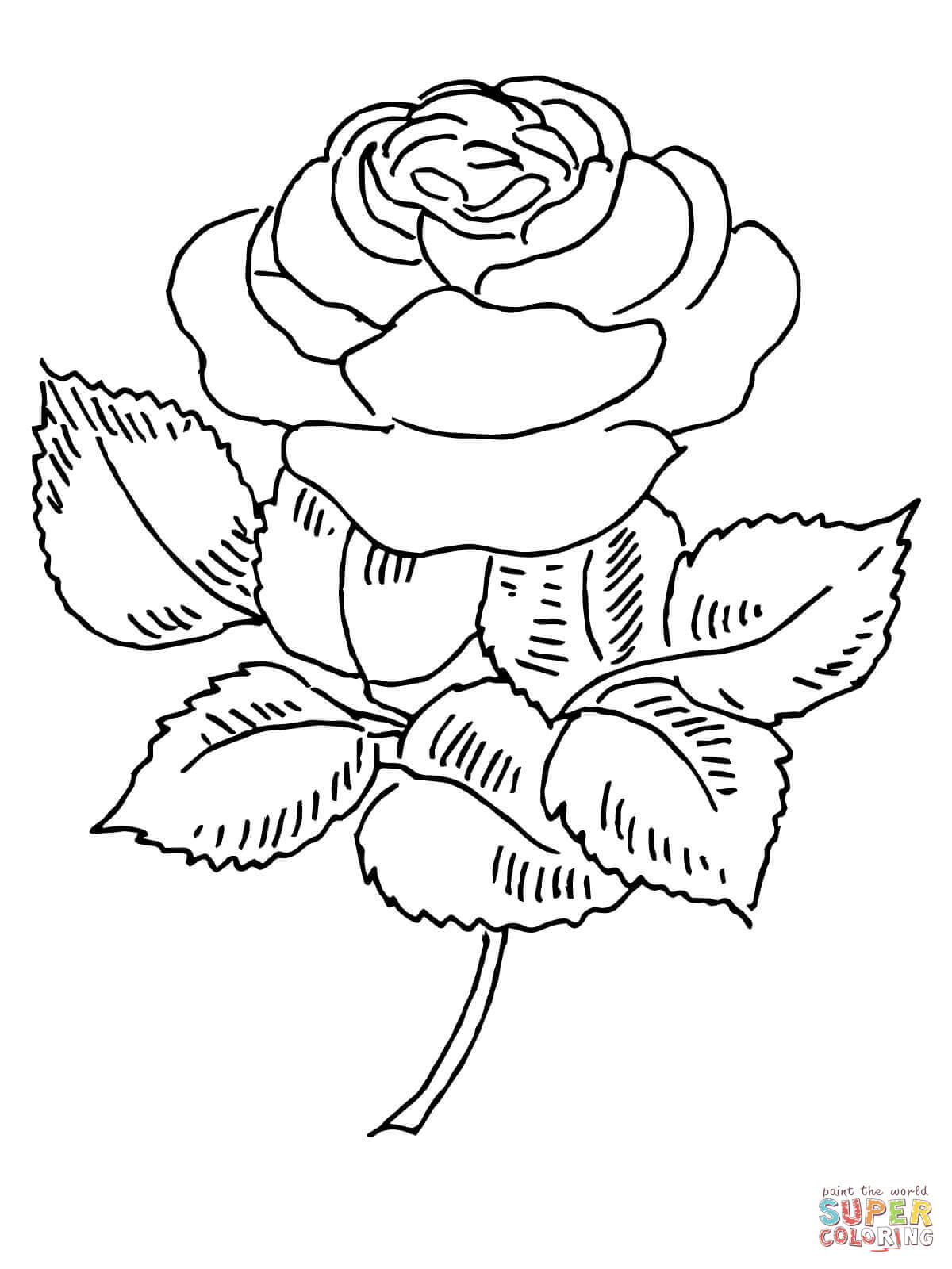 Rose coloring #6, Download drawings