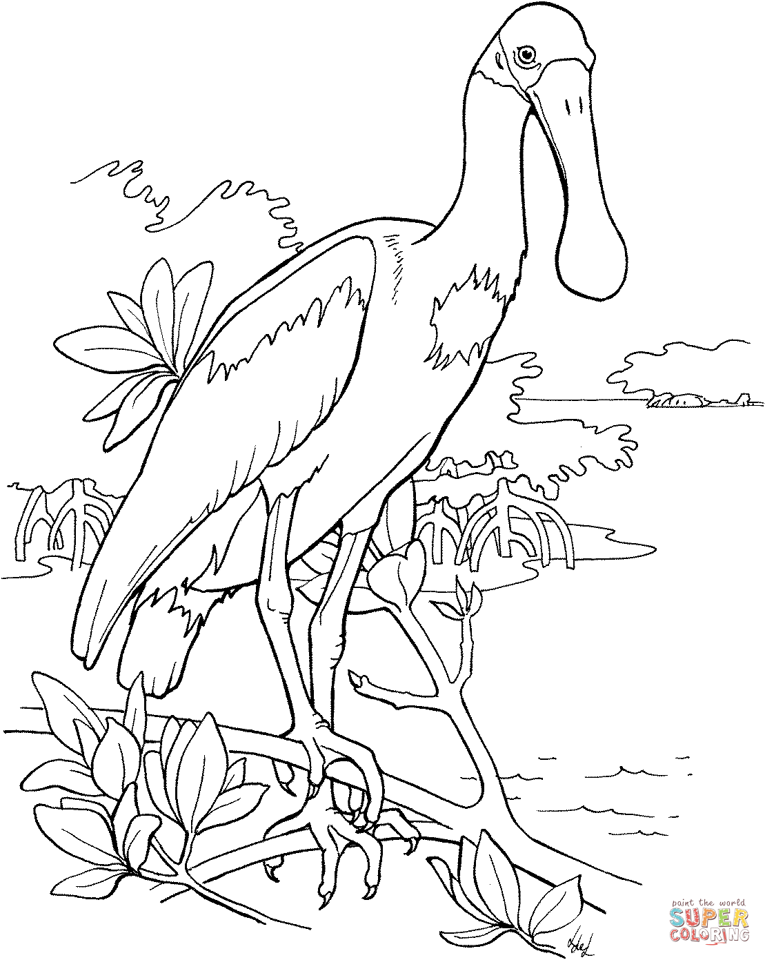 Roseate Spoonbill clipart #16, Download drawings