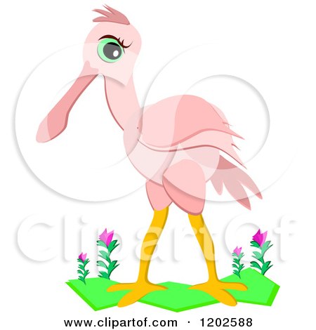 Roseate Spoonbill clipart #9, Download drawings