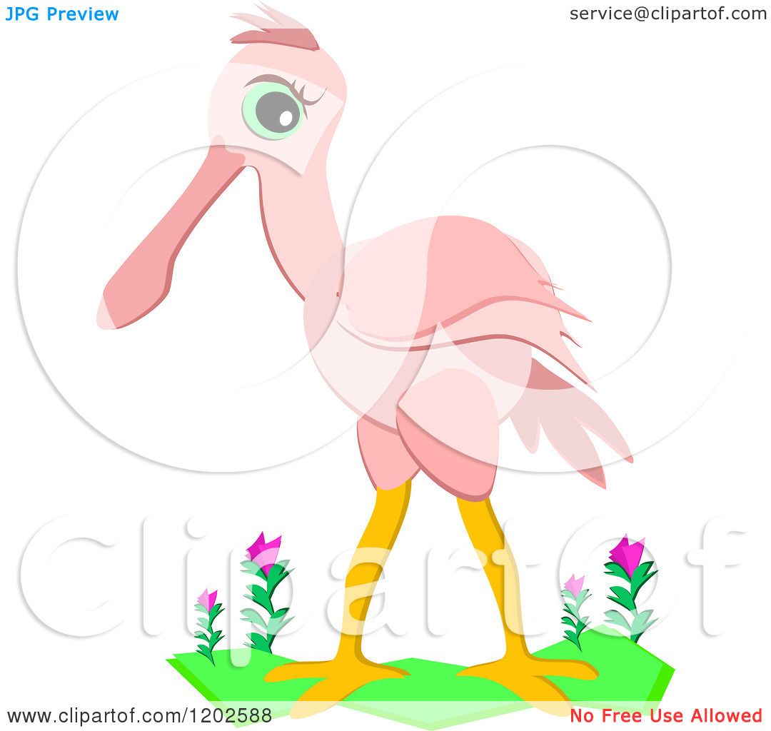 Roseate Spoonbill clipart #16, Download drawings