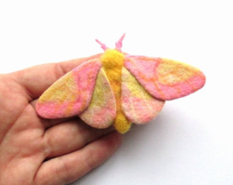Rosy Maple Moth svg #13, Download drawings