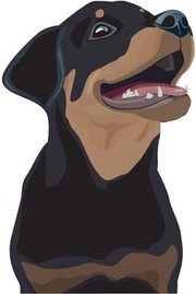 Rottweiler clipart #14, Download drawings