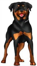 Rottweiler clipart #6, Download drawings