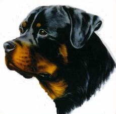 Rottweiler clipart #2, Download drawings