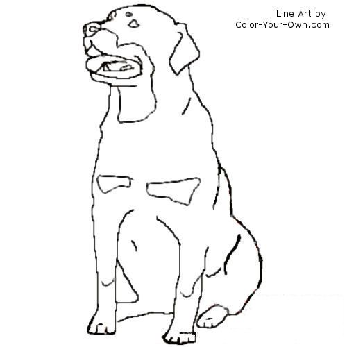 Rottweiler coloring #15, Download drawings