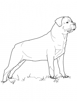 Rottweiler coloring #7, Download drawings