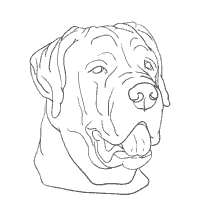 Rottweiler coloring #19, Download drawings