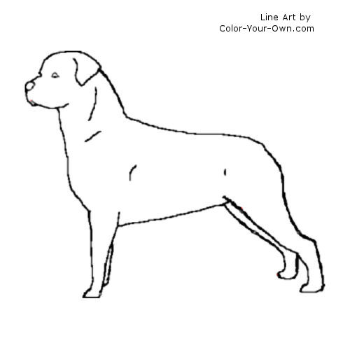 Rottweiler coloring #20, Download drawings