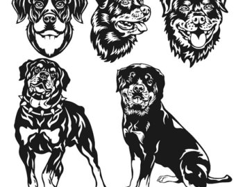 Rottweiler svg #5, Download drawings