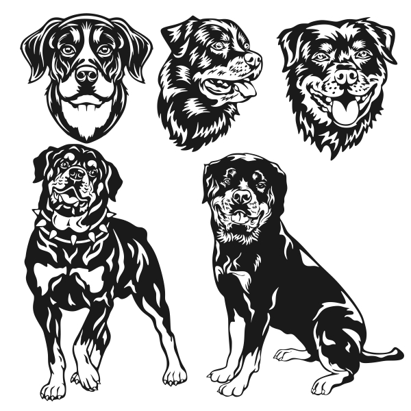 Rottweiler svg #2, Download drawings