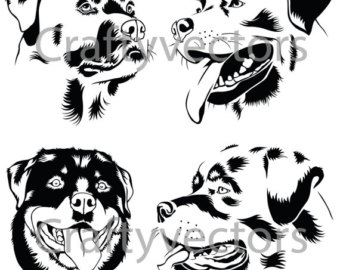 Rottweiler svg #14, Download drawings