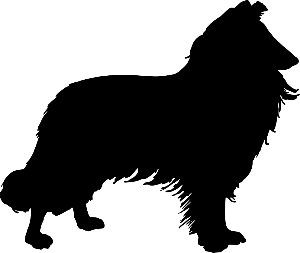 Rough Collie svg #11, Download drawings
