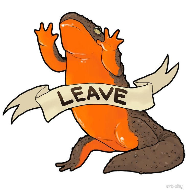 Rough-skinned Newt clipart #11, Download drawings