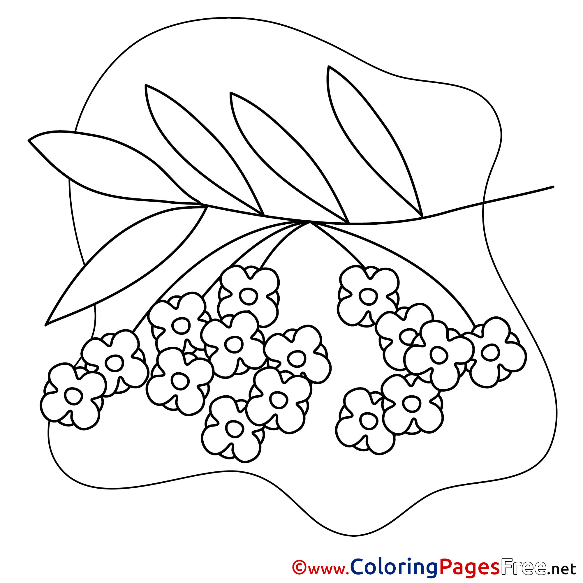 Rowan coloring #3, Download drawings