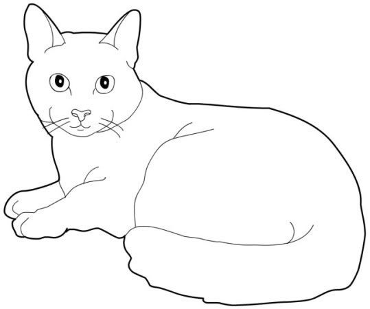 Russian Blue coloring #16, Download drawings