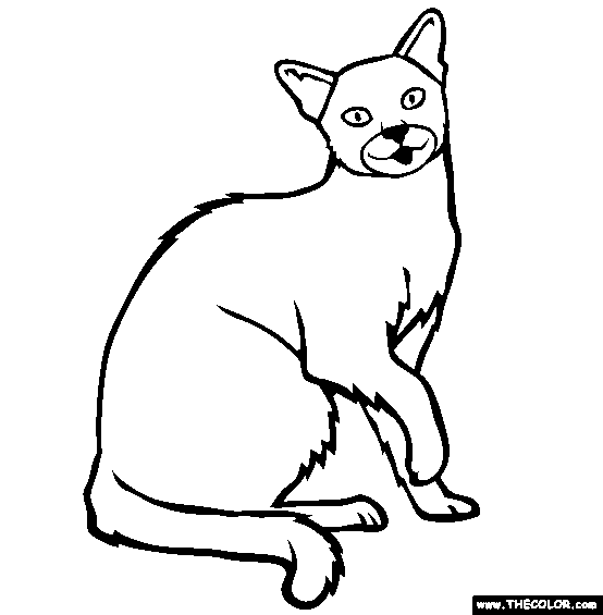 Siamese Cat coloring #17, Download drawings